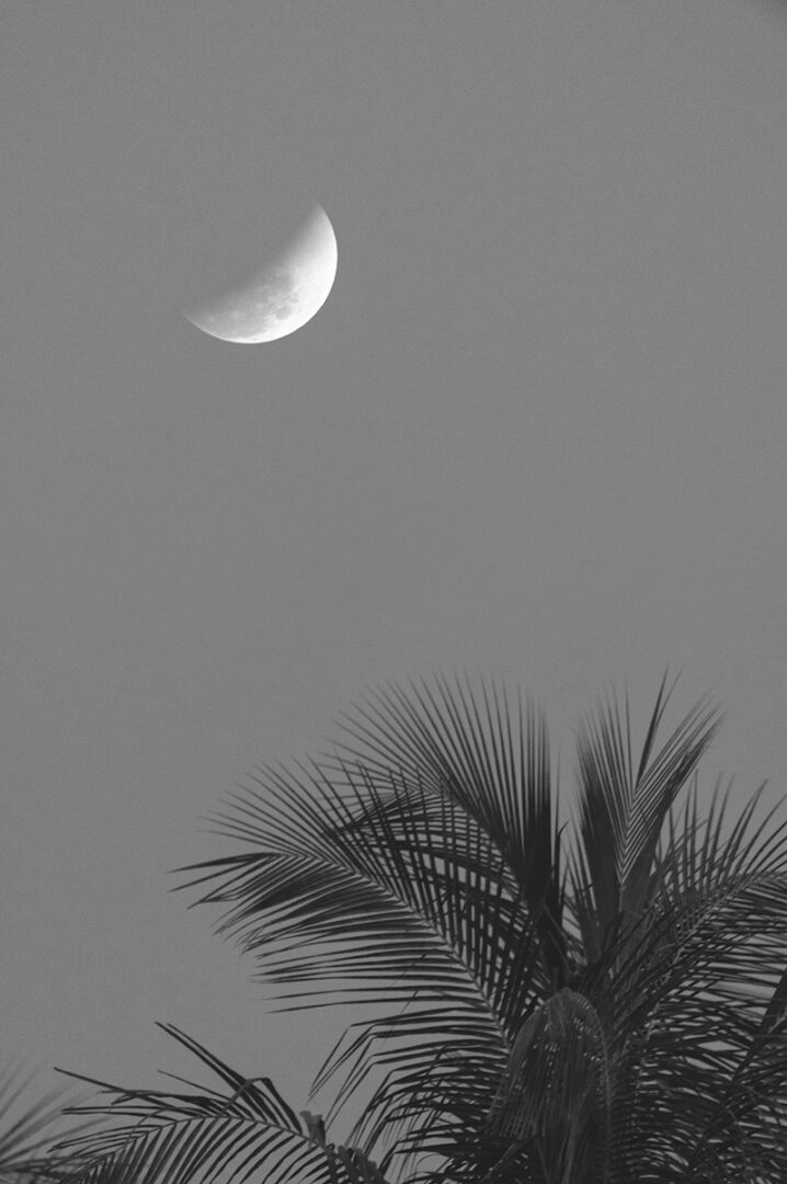 You can compose your lunar eclipse image with a foreground element