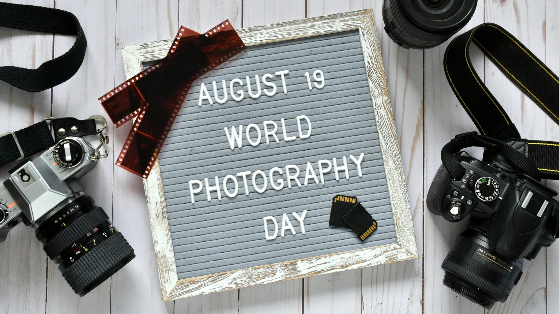 When Is World Photography Day? Everything You Need to Know