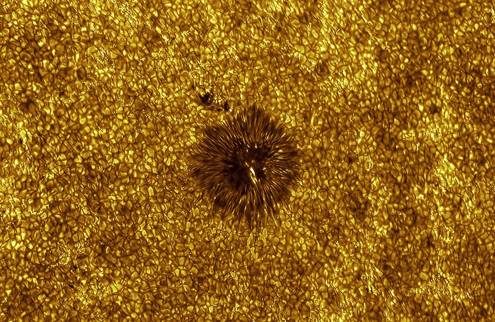 ZWO Astronomy Photographer of the Year 2026