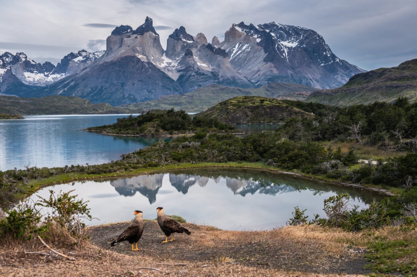 Audubon Photography Awards 2026