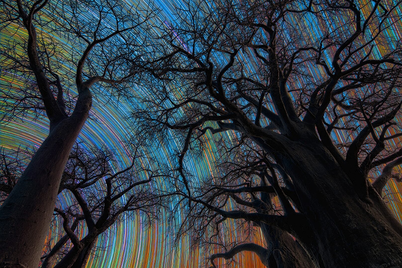 skyscapes