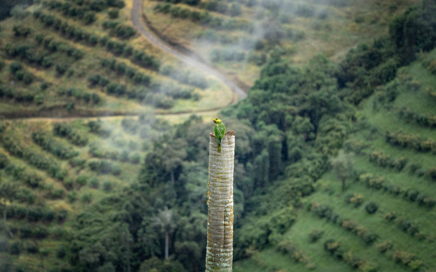 Audubon Photography Awards 2026