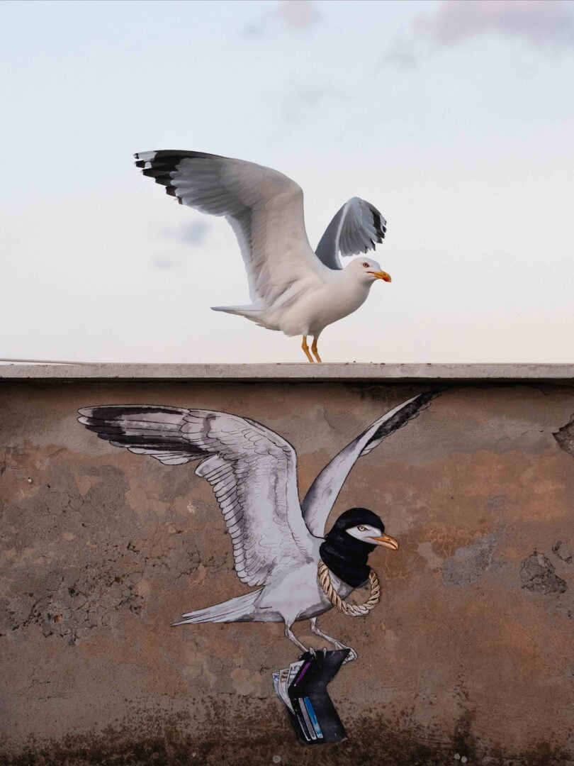 Bird Photographer of the Year 2026