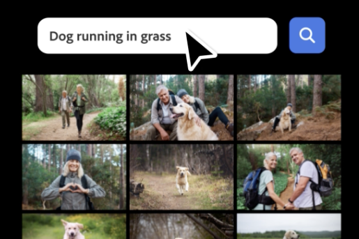 Photoshop and Premiere Elements 2027
