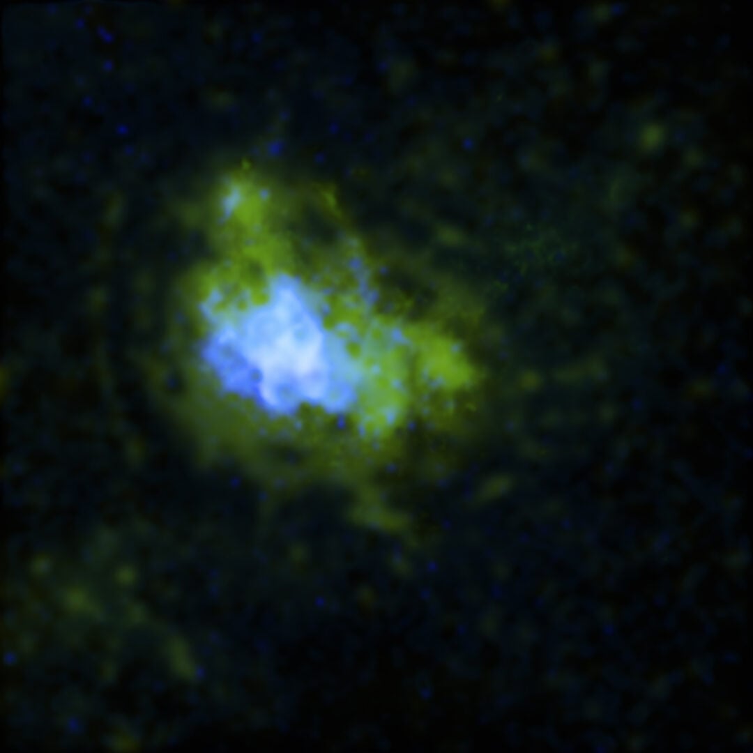 Chandra's x-ray image. Credit: NASA/CXC/McGill Univ./M. Balakrishnan et al.