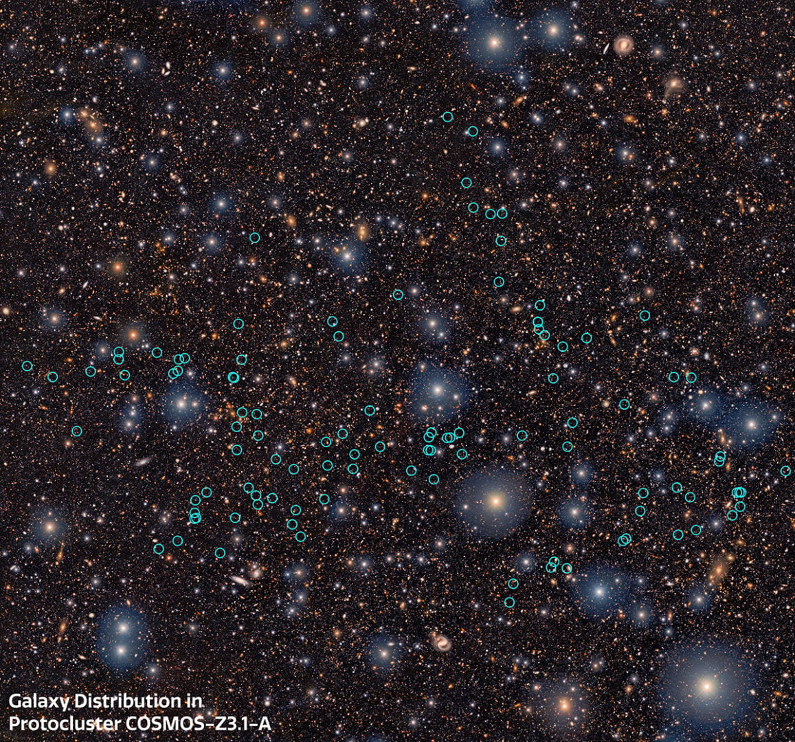 The circles show the individual galaxy clusters within the larger proto-supercluster. Credit: CTIO/NOIRLab/DOE/NSF/AURA