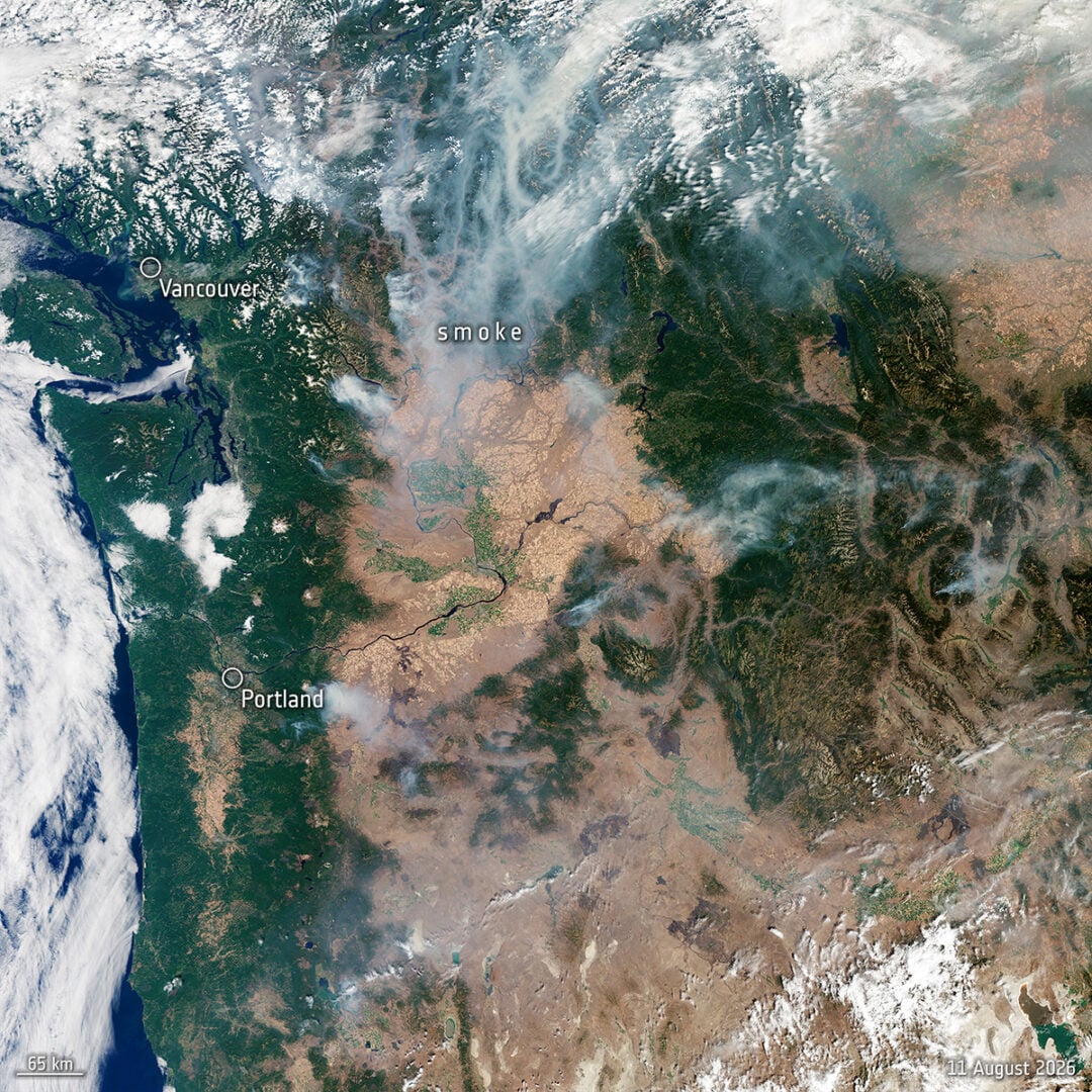 This Copernicus Sentinel-2 satellite image, captured on 11 August 2026, shows extensive wildfire smoke spreading across western Canada and into the northwestern United States. Credit: contains modified Copernicus Sentinel data (2026), processed by ESA