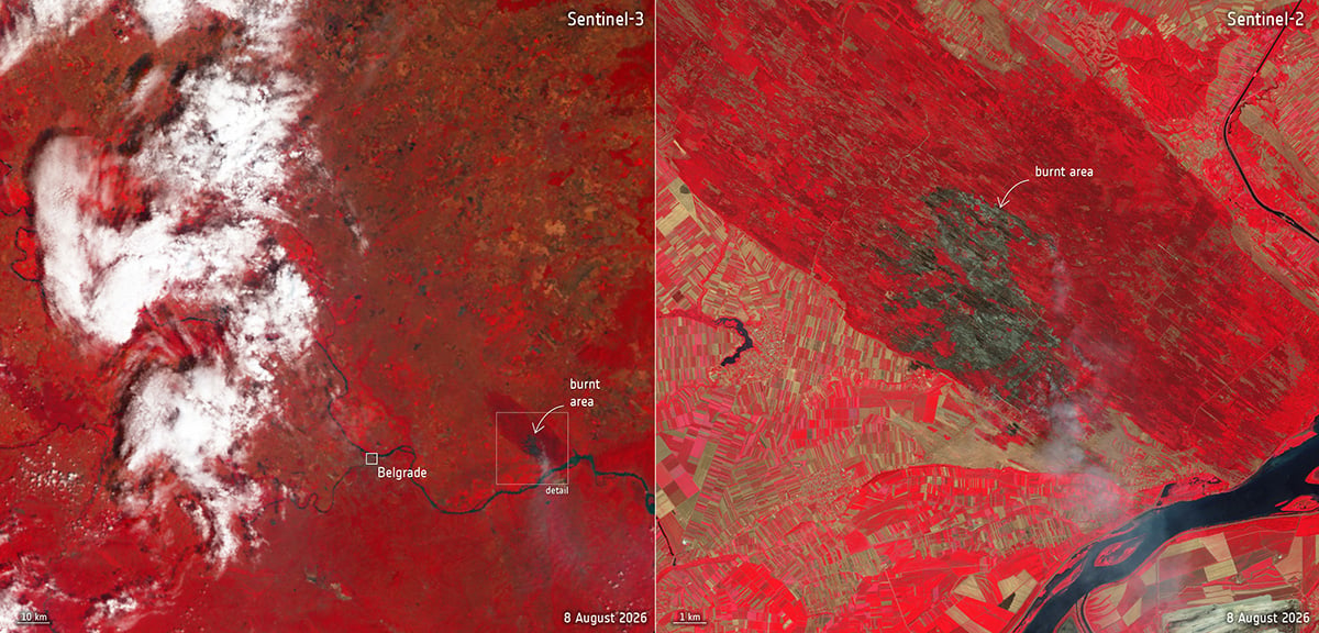 These images by Sentinel-3 show two contrasting views of the countryside around the Serbian capital, Belgrade, captured on 8 August 2026. Credit: contains modified Copernicus Sentinel data (2026), processed by ESA