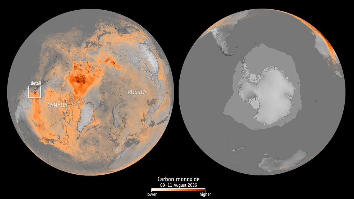 This Copernicus Sentinel-5P image shows the three-day average distribution of atmospheric carbon monoxide from fires across North America between 9 and 11 August 2026. Credit: contains modified Copernicus Sentinel data (2026), processed by ESA