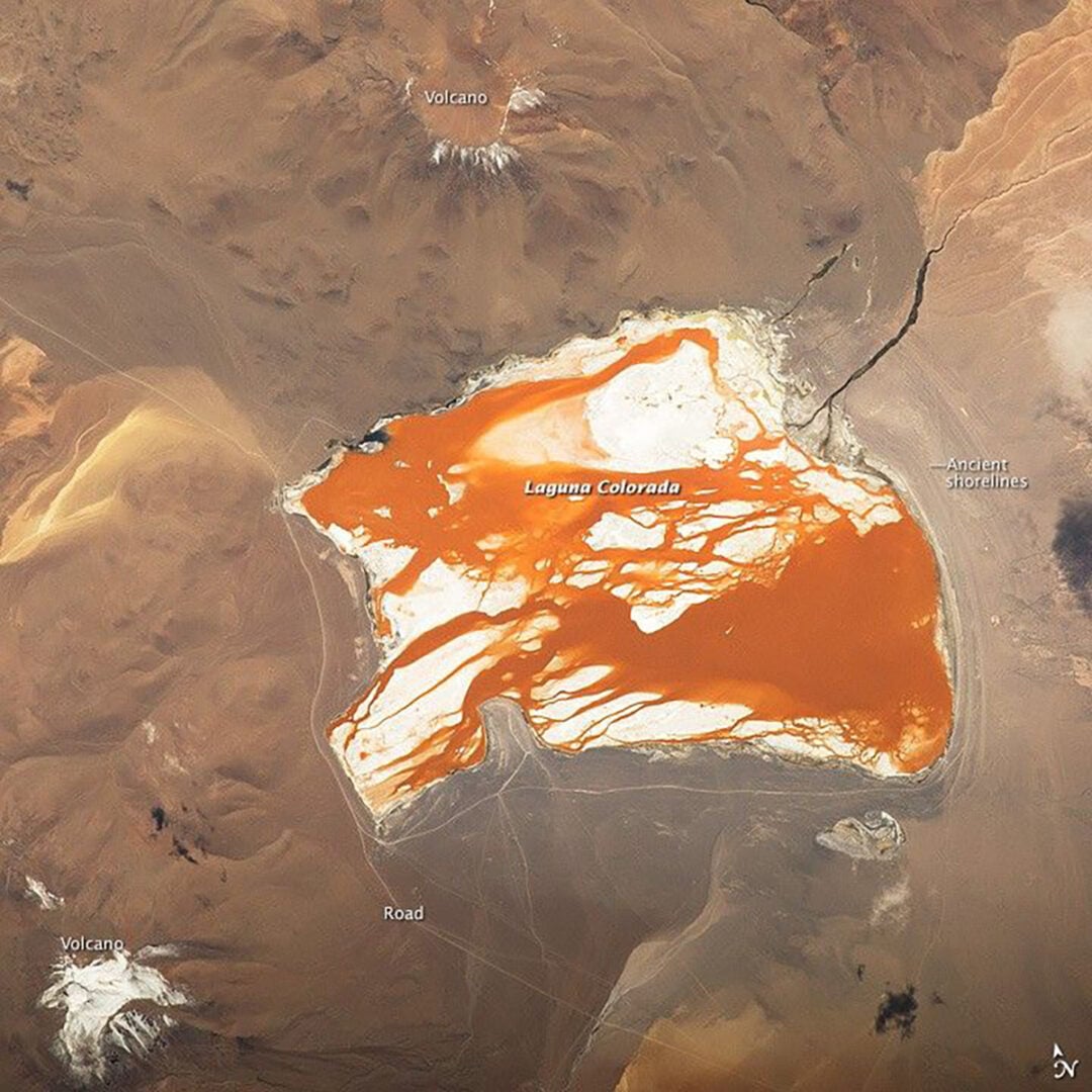 This view of the Laguna Colorado was captured by astronauts from the ISS with a Nikon D4 camera and a 400mm telephoto lens. Credit: NASA