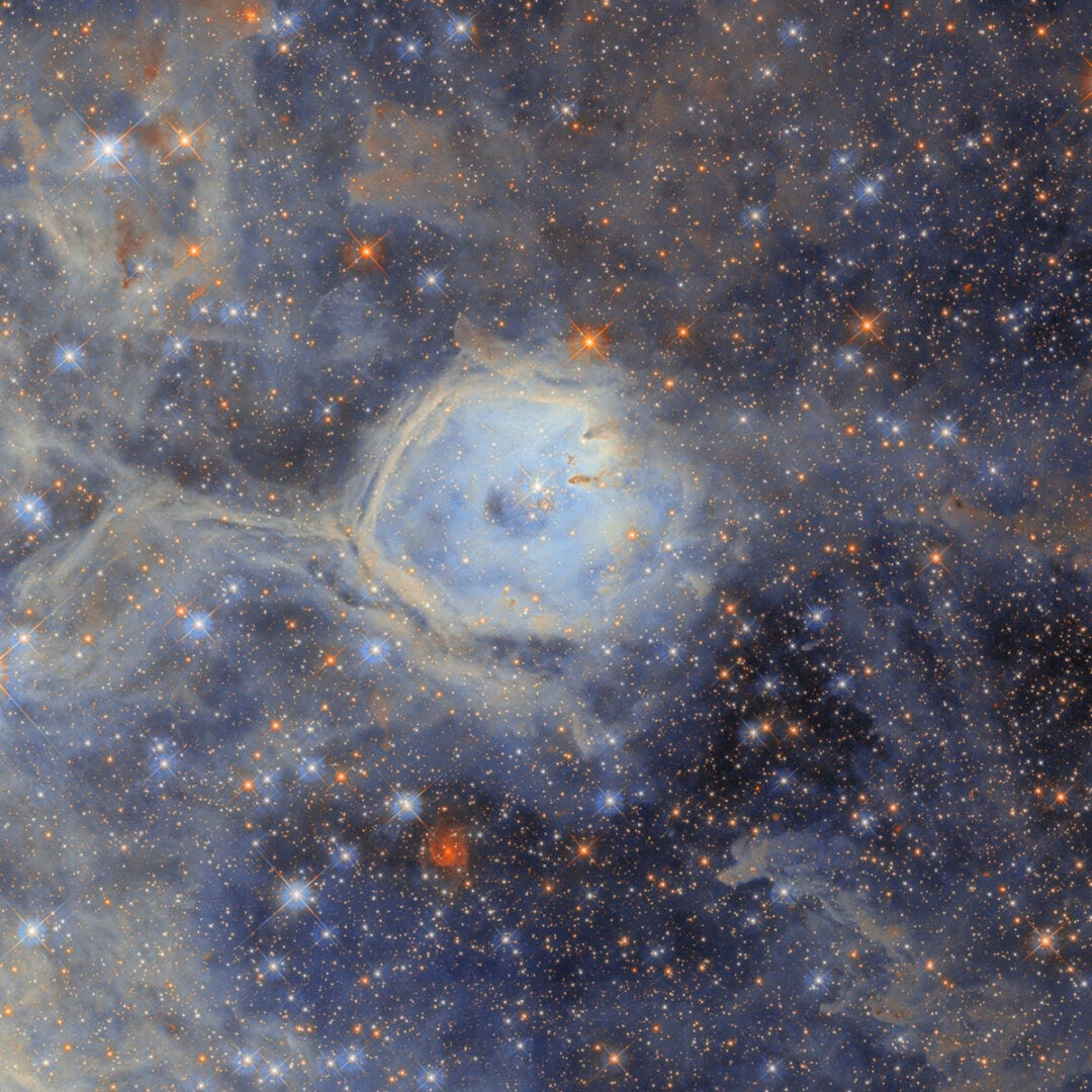 A close-up of N44F from Hubble's new image of the region. Credit: NASA, ESA/Hubble, D. Gouliermis