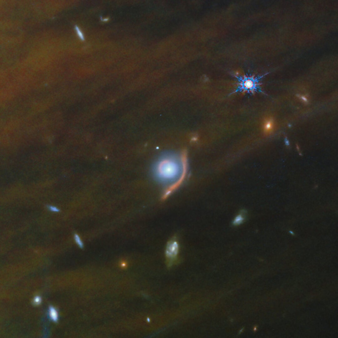 This cropped image shows an example of gravitational lensing hidden in the background of the star-forming region IC 348. The round blue dot in the center of the image is a distant galaxy. Credit: ESA/Webb, NASA, CSA, K. Luhman, C. Alves De Oliveira, M. Zamani (ESA/Webb)