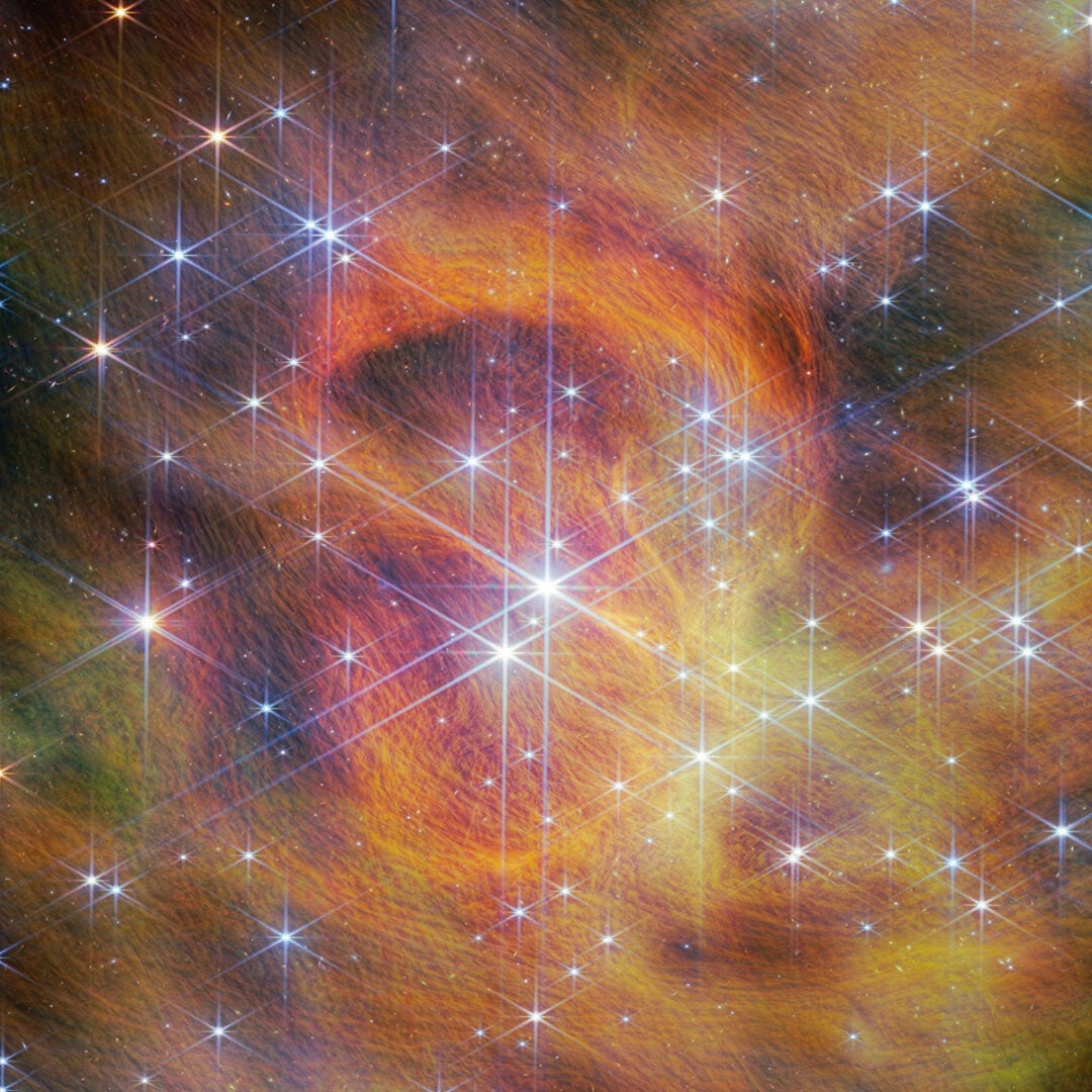 This cropped image shows the central portion of the star cluster IC 348. Credit: ESA/Webb, NASA, CSA, K. Luhman, C. Alves De Oliveira, M. Zamani (ESA/Webb)