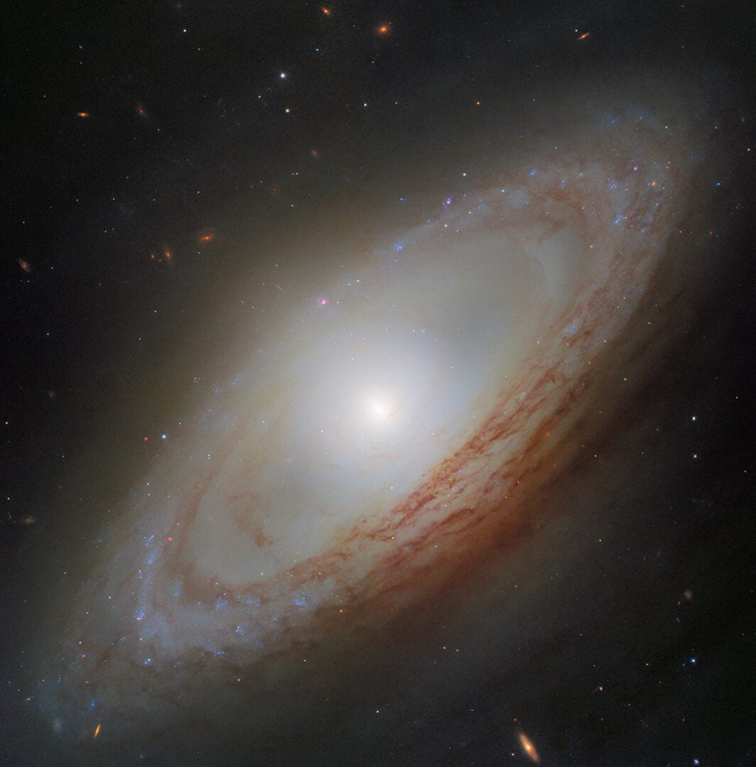 Hubble's new image of the spiral galaxy NGC 4698. Credit: ESA/Hubble & NASA, D. Thilker, the MAUVE-HST Team
