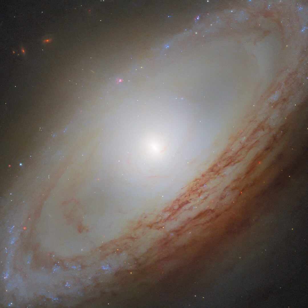 The central bulge of NGC 4698 sits perpendicular to its outer disc. Credit: ESA/Hubble & NASA, D. Thilker, the MAUVE-HST Team