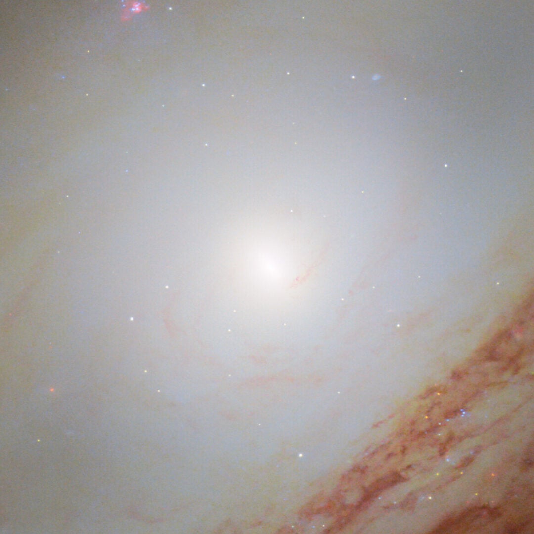 A supermassive black hole lies at the center of NGC 4698. Credit: ESA/Hubble & NASA, D. Thilker, the MAUVE-HST Team
