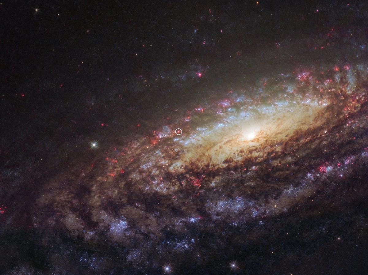 Hubble Space Telescope's image of NGC 7331 with supernova SN 2014C. Credit: ESA/Hubble & NASA/D. Milisavljevic (Purdue University)