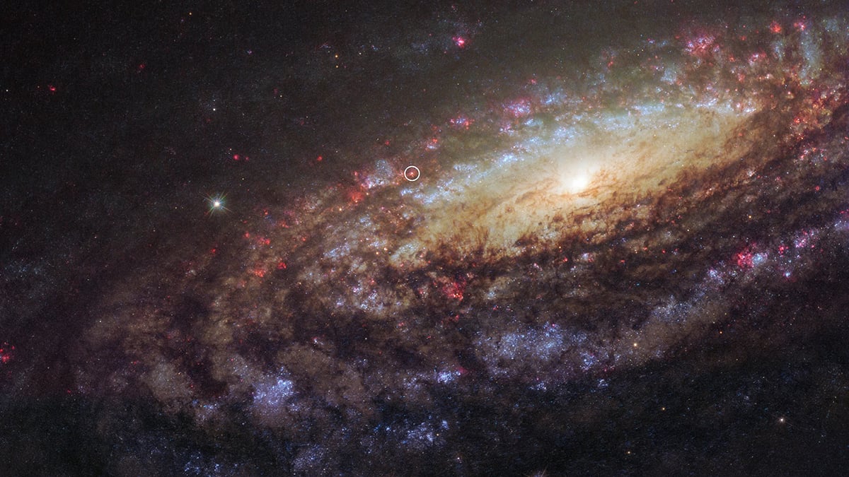 You can photograph the new supernova in NGC 7331 cover