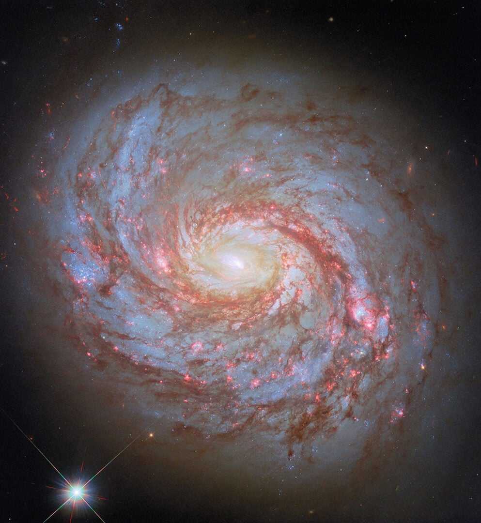 Hubble Space Telescope's image of M77. Credit: ESA/Hubble & NASA, L. C. Ho, D. Thilker