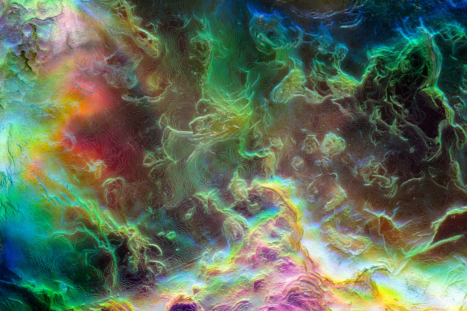 NIkon small world 2026 winners