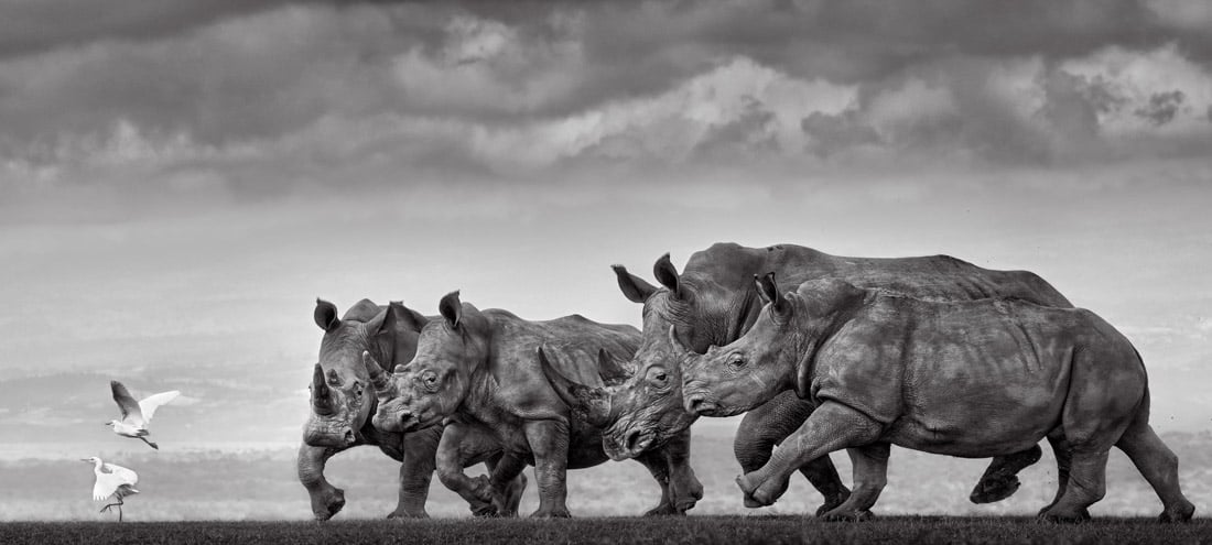Epson International Pano Awards 2026