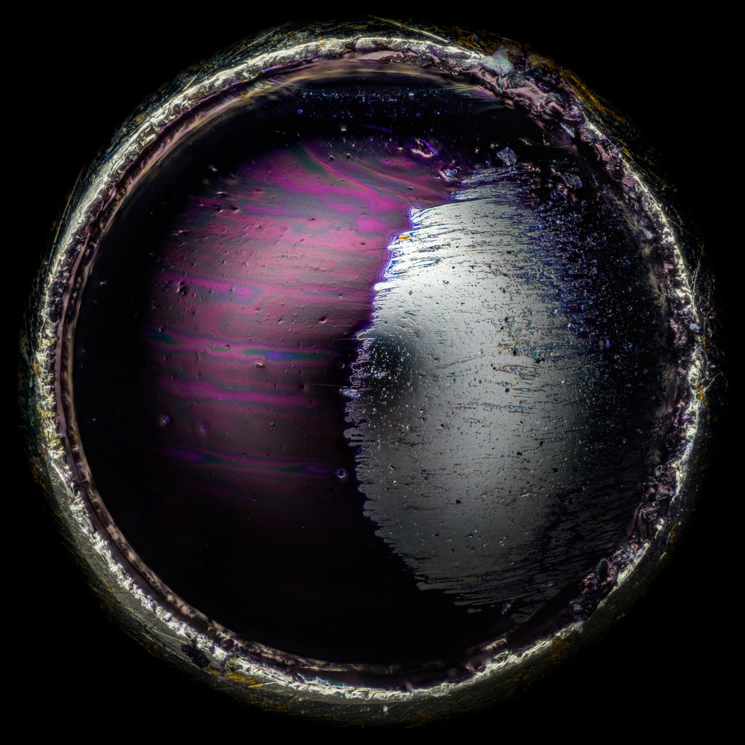 NIkon small world 2026 winners