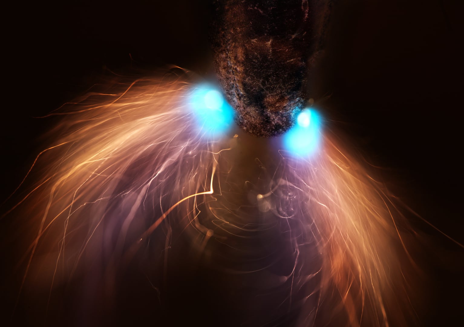 NIkon small world 2026 winners