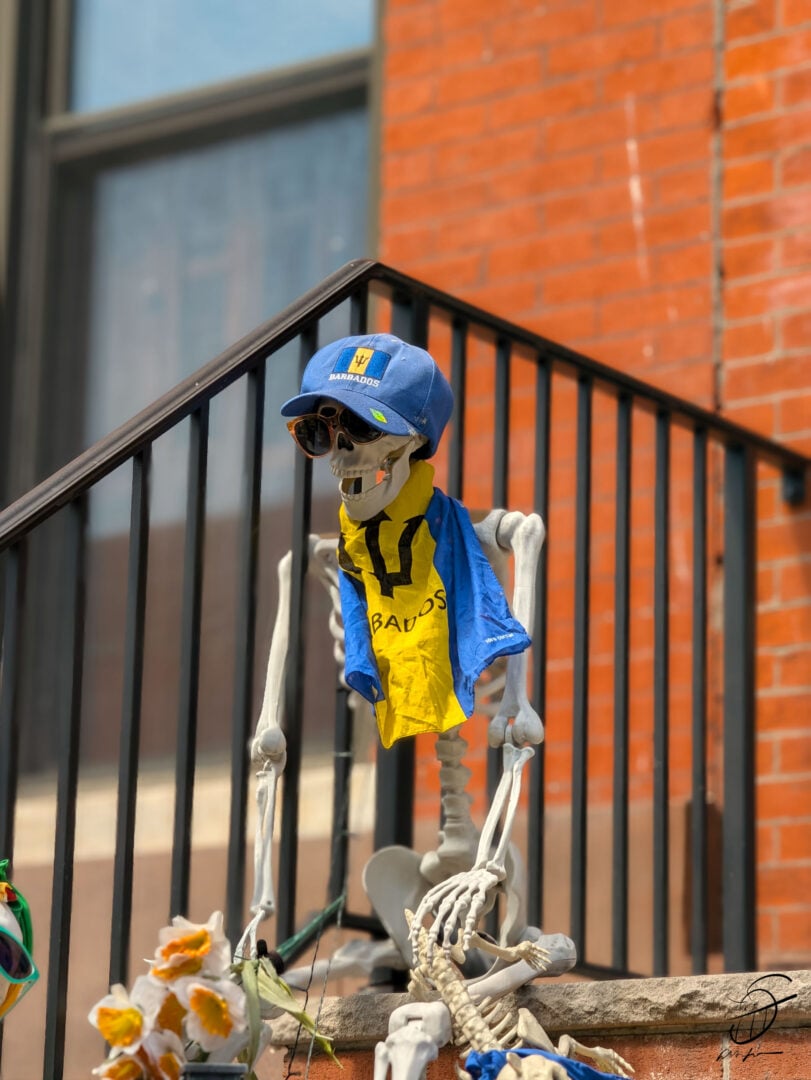 Sample image taken with the Google Pixel 11 Pro