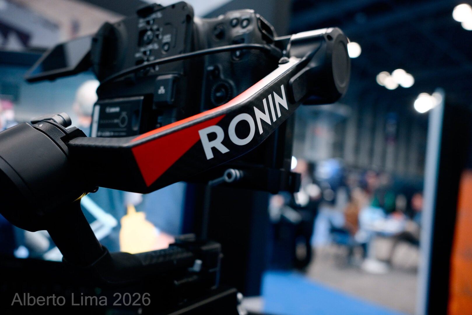 Sample image taken with the Sigma FP2