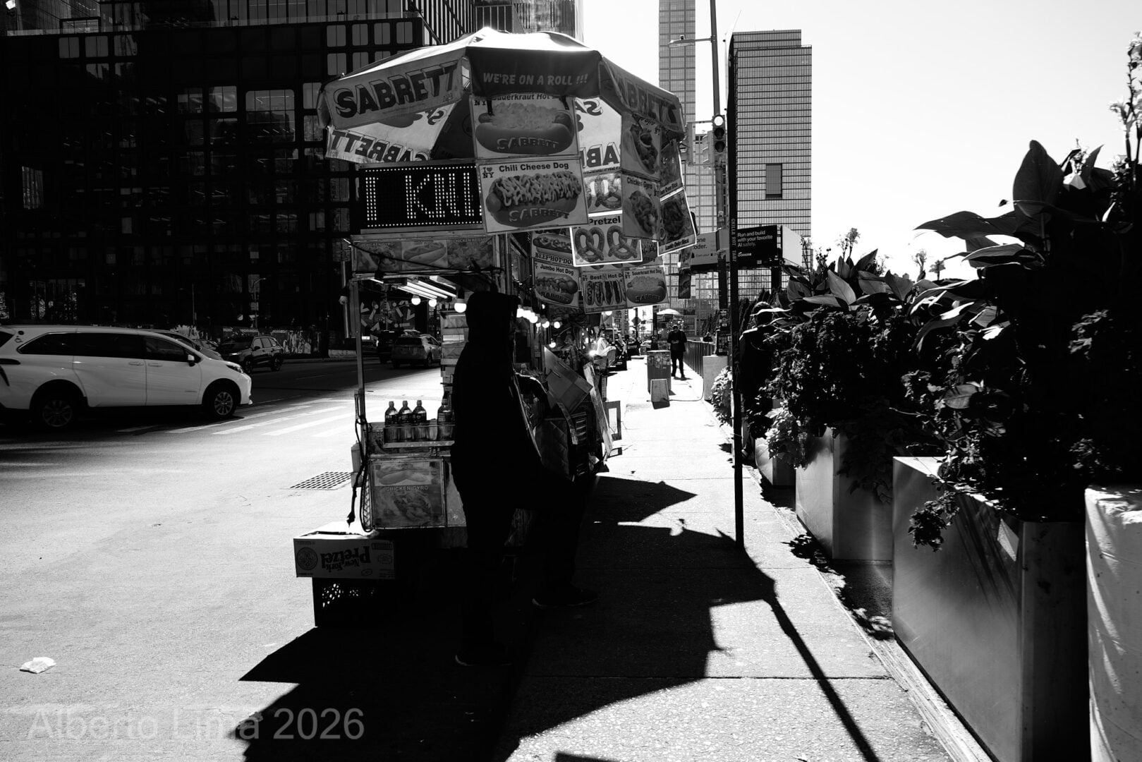 Sample image taken with the Sigma FP2