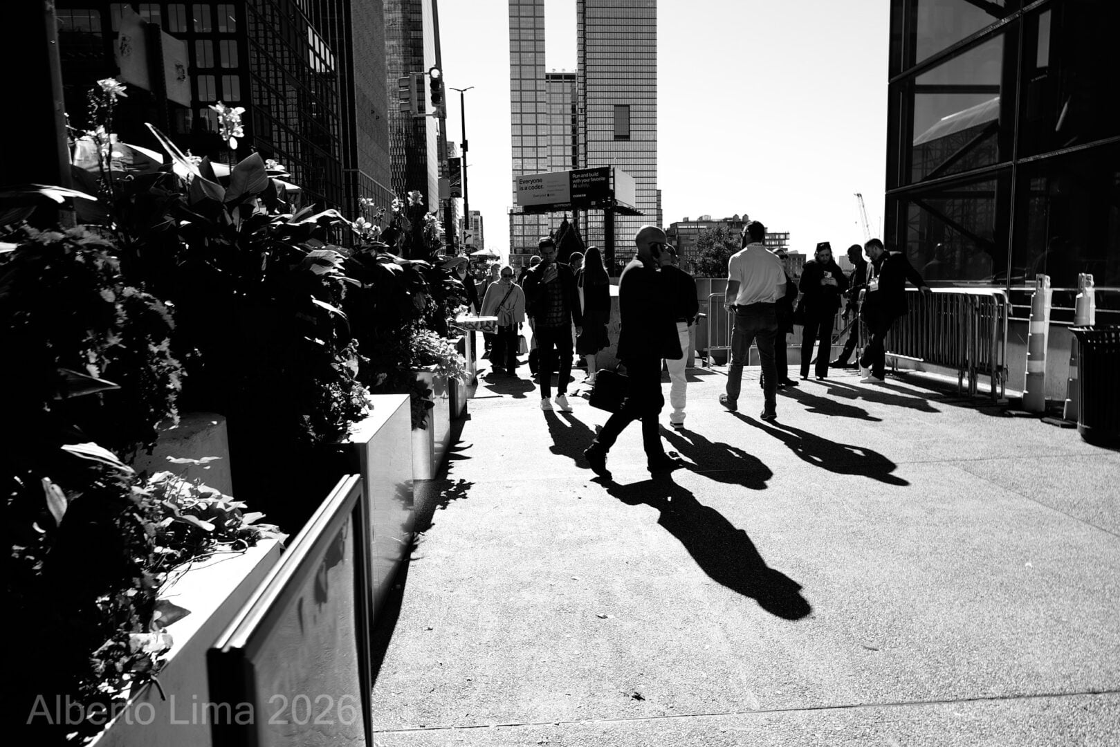 Sample image taken with the Sigma FP2