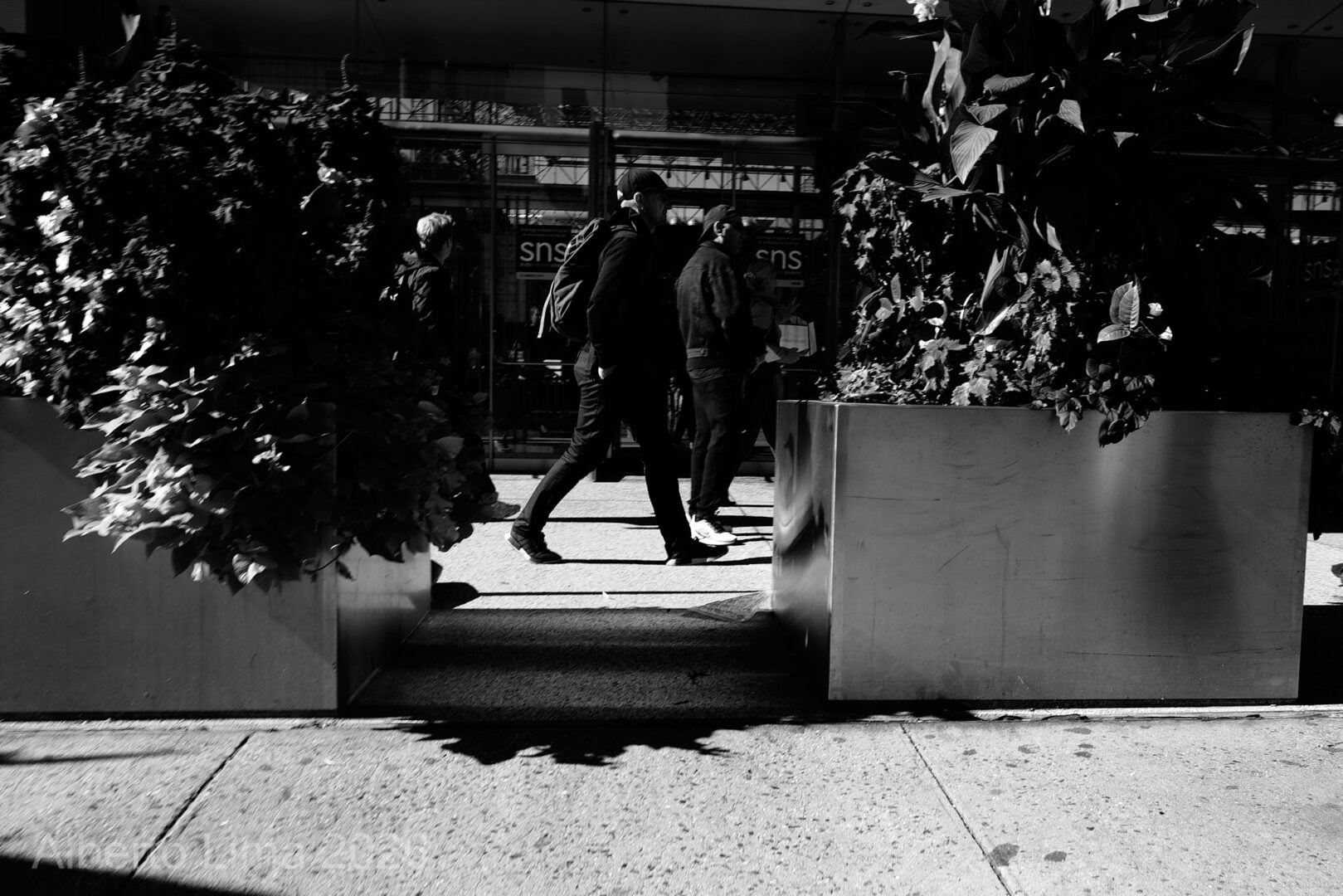 Sample image taken with the Sigma FP2