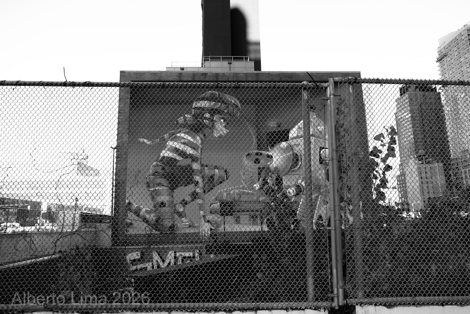 Sample image taken with the Sigma FP2