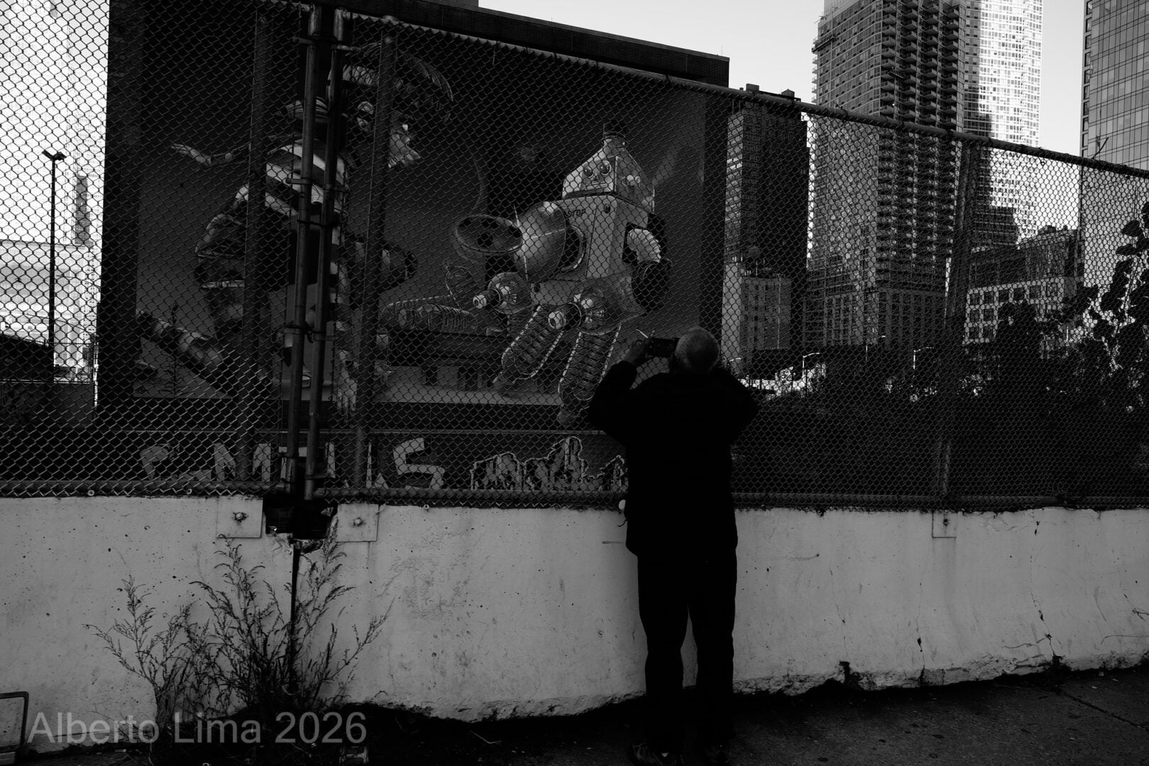 Sample image taken with the Sigma FP2
