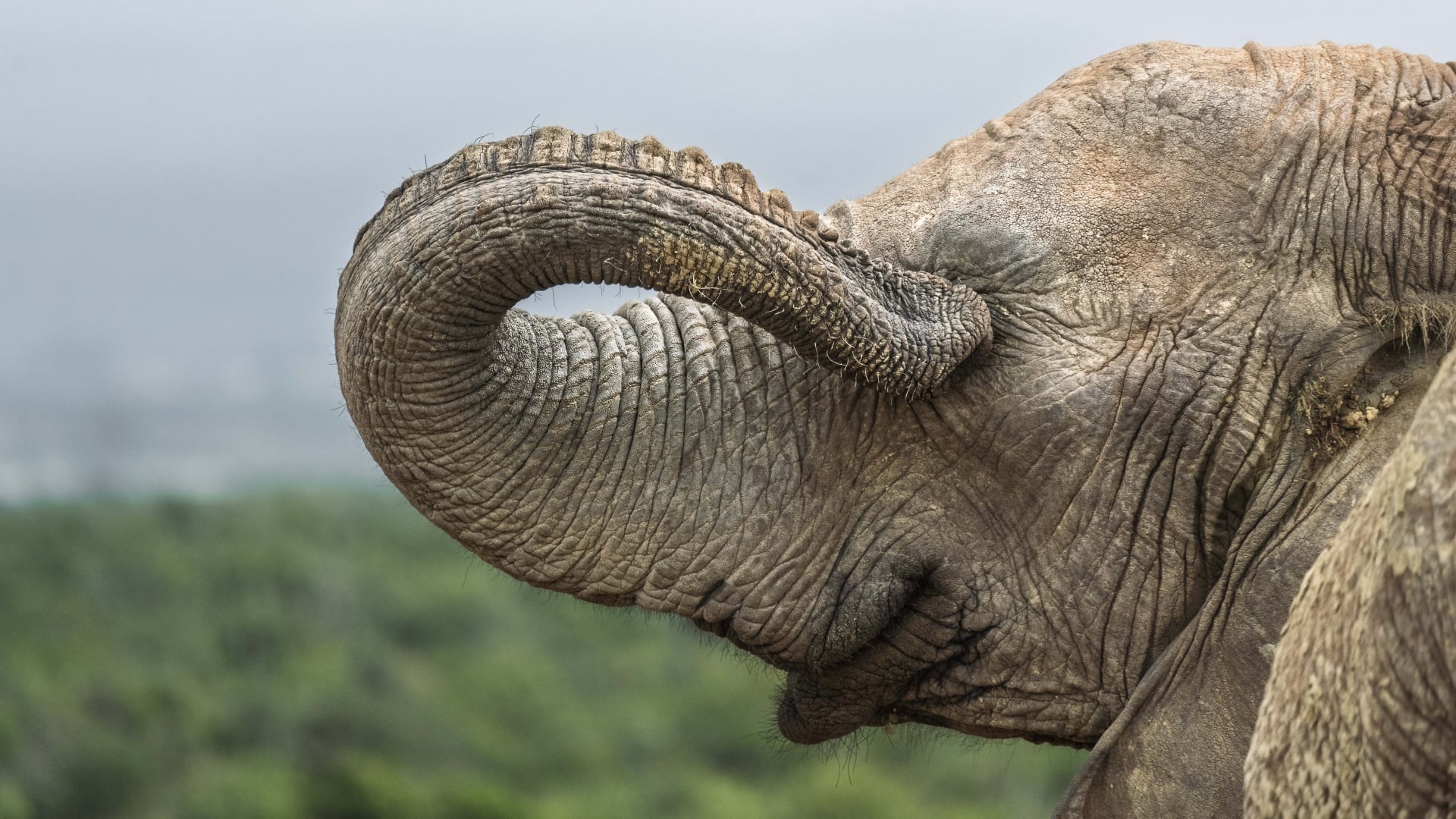 The Comedy Wildlife Photography Awards 2026