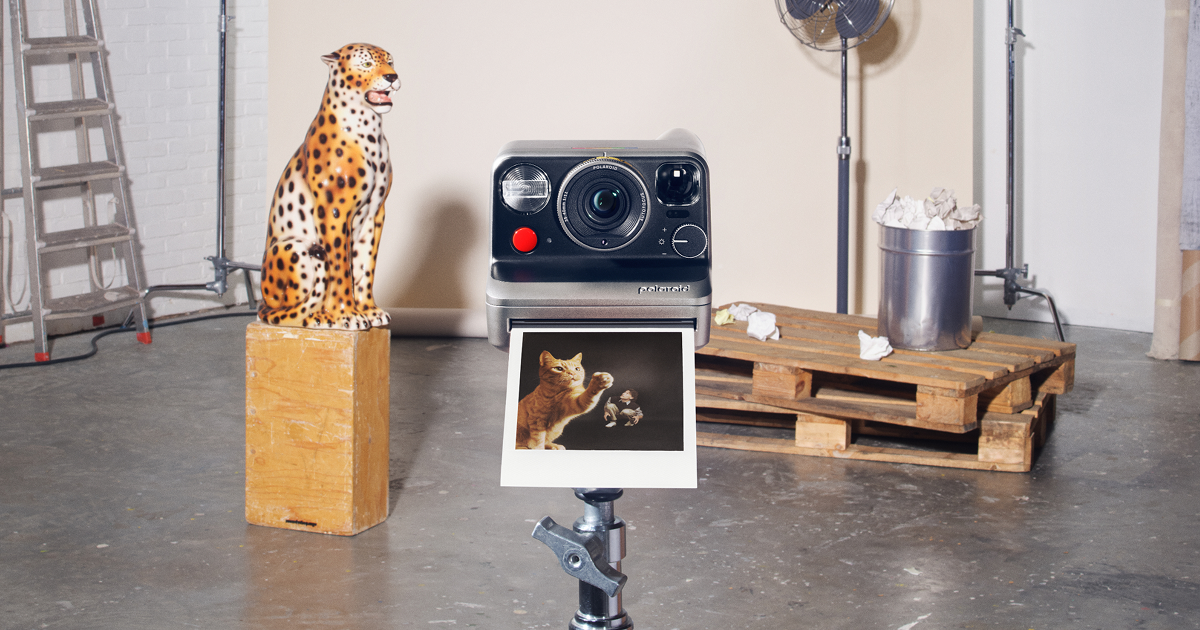 polaroid mod