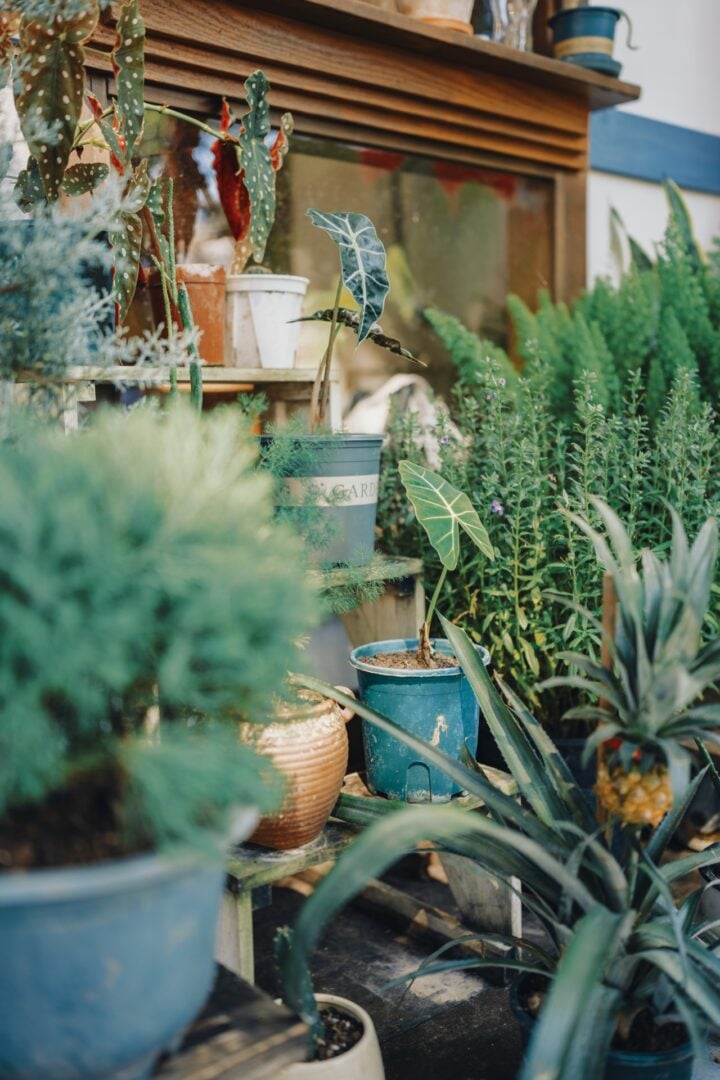 Viltrox 35mm f/1.4 Pro