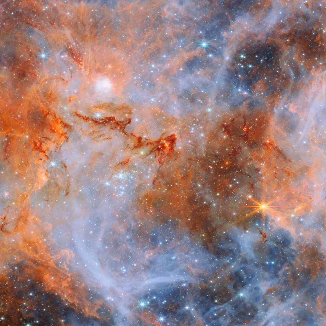 The orange cloud and dark red filaments in the N159 region. Credit: ESA/Webb, NASA & CSA, E. Sabbi, M. Zamani (ESA/Webb)