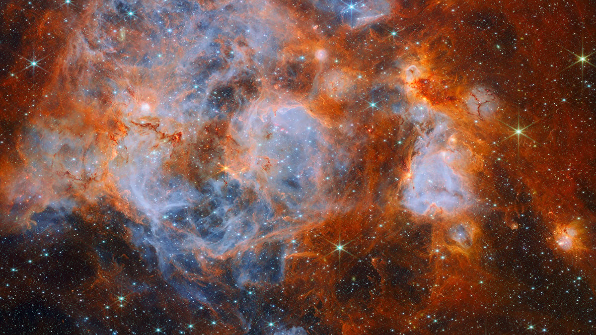 James Webb captures thousands of young stars brewing in a nebula cover
