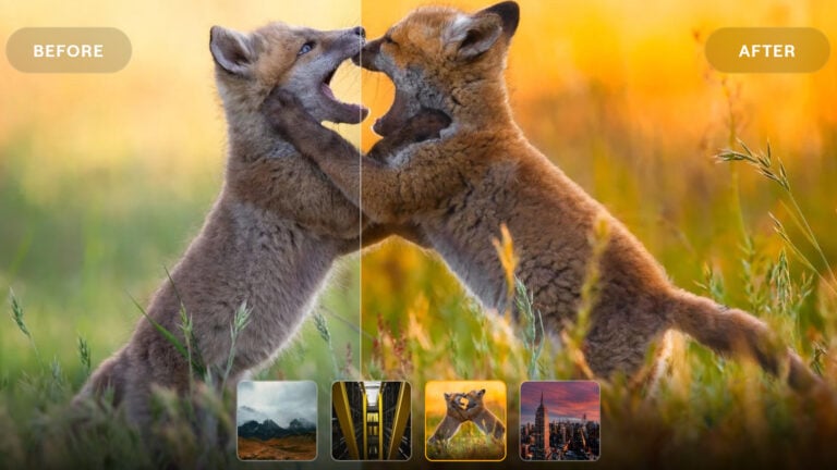 luminar on web