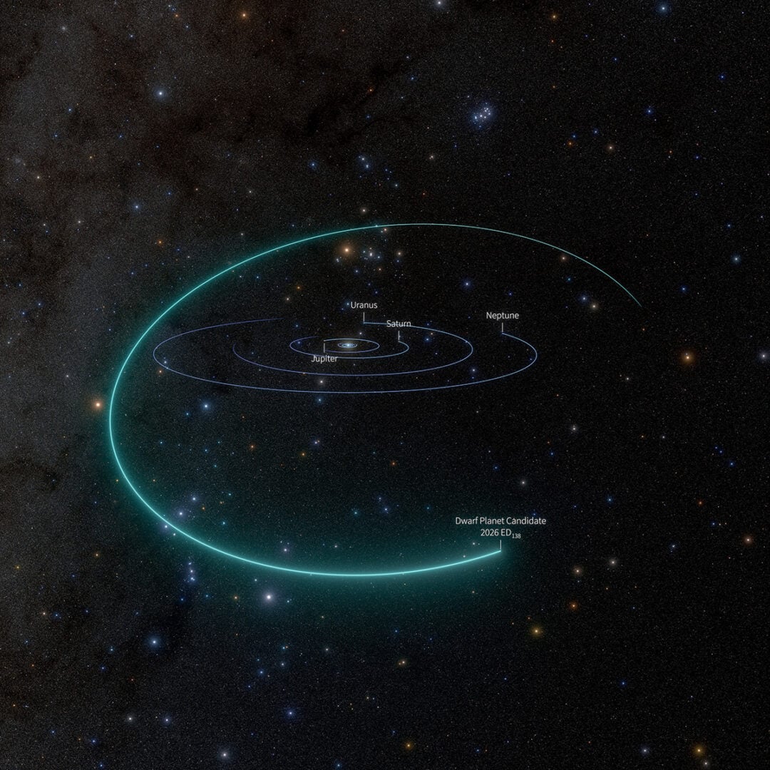 A view of the Solar System showing the orbital pathway of newly discovered dwarf planet candidate 2026 ED138 (ED138). Credit: NSF–DOE Vera C. Rubin Observatory/NOIRLab/SLAC/AURA/R. Proctor