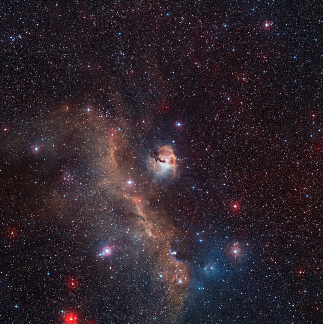 A wide-field view of the Seagull Nebula. Credit: ESO/Digitized Sky Survey 2
