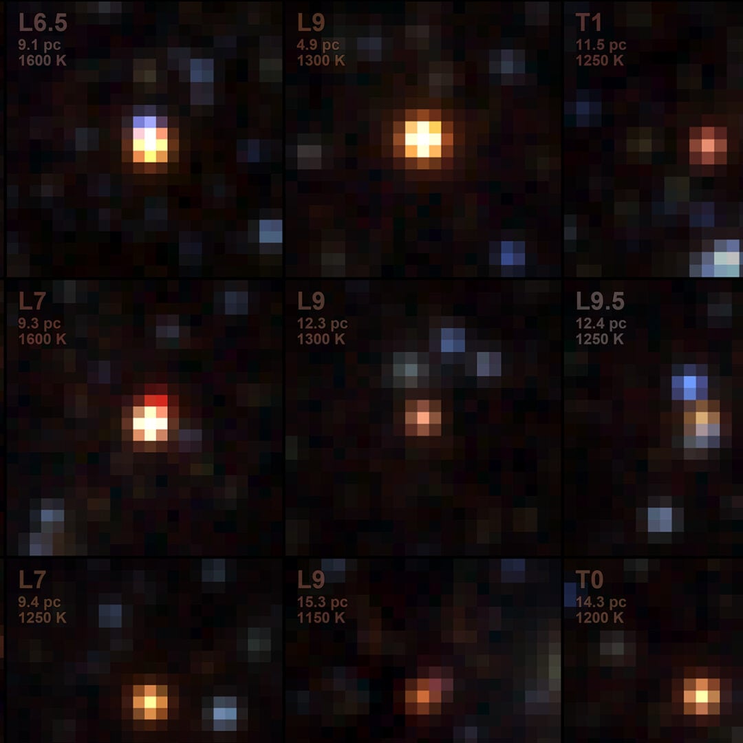 Some of the brown dwarfs captured by SPHEREx. Credit: NASA/JPL-Caltech